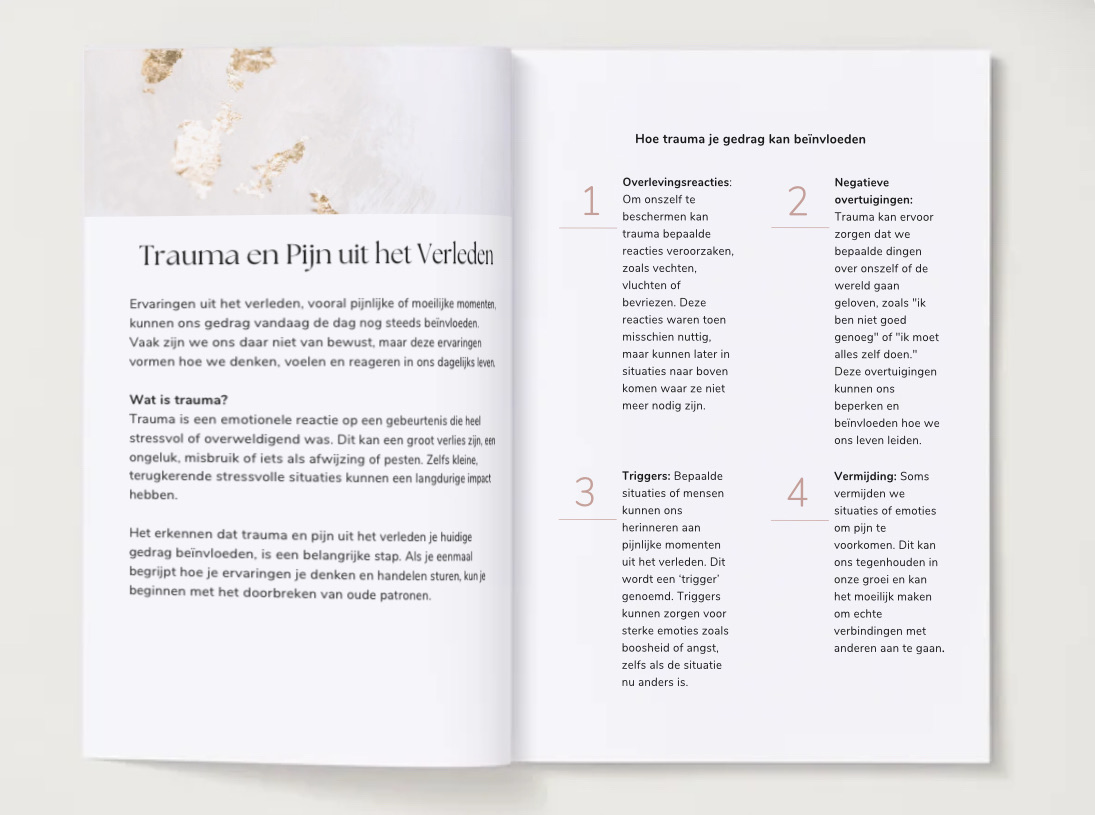Your Healing Journey 'Workbook' - Afbeelding 4